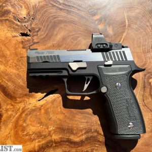 P320 AXG Equinox – Best Price